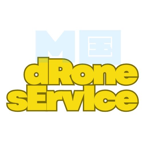 DRONE SERVICE 正